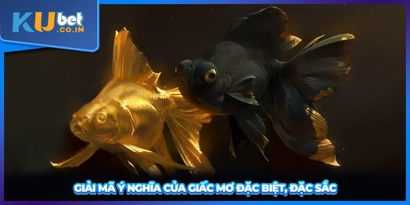 Giải mã ý nghĩa của giấc mơ đặc biệt này