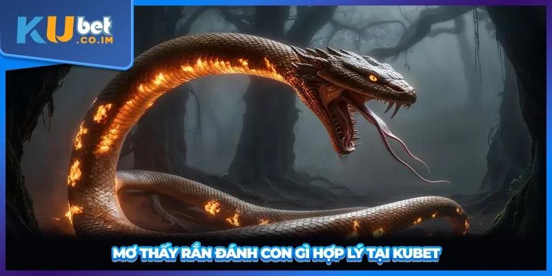Mơ thấy rắn đánh con gì hợp lý tại KUBET