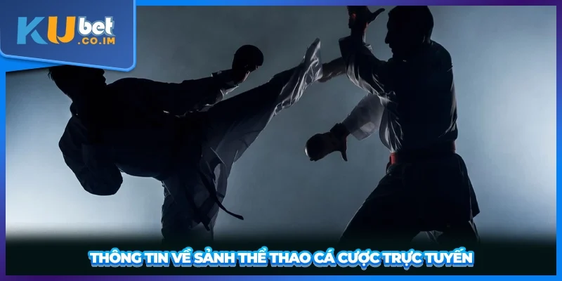 Thông tin tổng quan về sảnh thể thao cá cược trực tuyến
